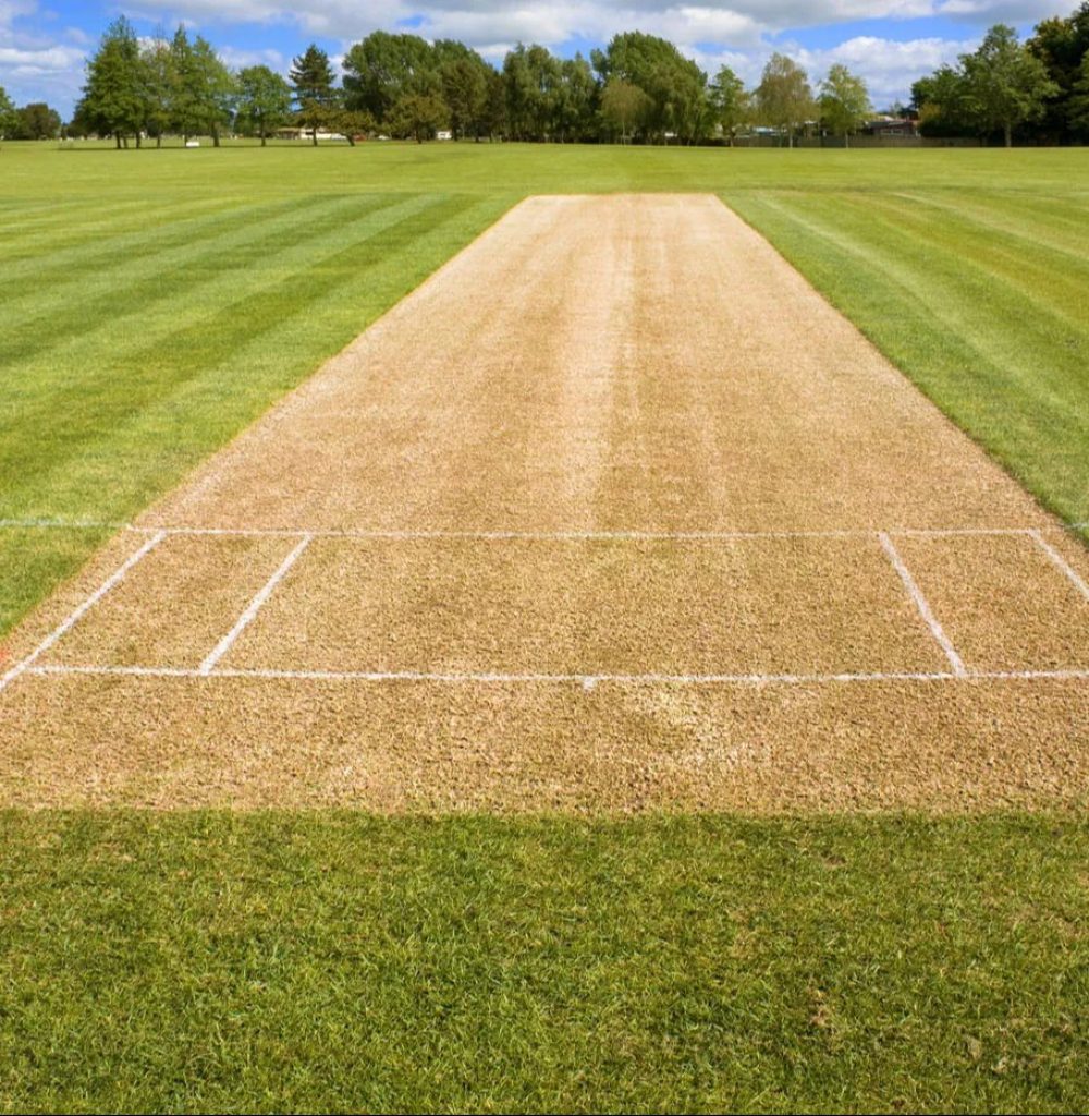 cricket-ground-construction